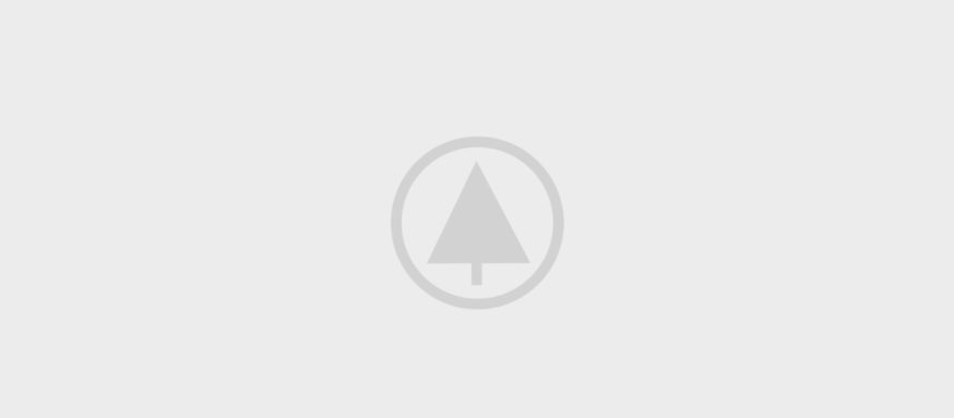 wood-gallery-placeholder-5 wood-gallery-placeholder-5